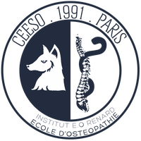 Logo CEESO Paris